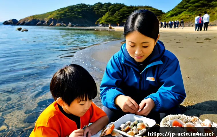 옥토넛 콘텐츠의 문화적 다양성 관련 이미지 1